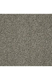 Carpet| STAINMASTER PetProtect Baxter I Tank Textured Carpet (Indoor) - VI52477
