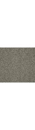 Carpet| STAINMASTER PetProtect Baxter I Tank Textured Carpet (Indoor) - VI52477