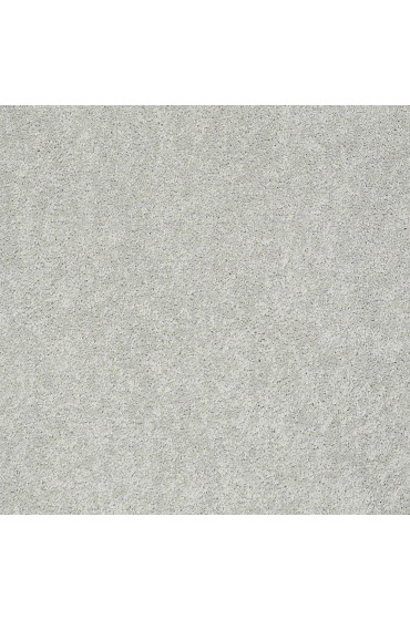 Carpet| STAINMASTER PetProtect Baxter IV Mac Textured Carpet (Indoor) - LZ36050