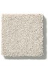 Carpet| STAINMASTER PetProtect Best Of Breed Accolade Textured Carpet (Indoor) - TT36338