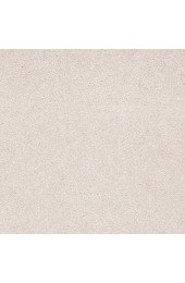 Carpet| STAINMASTER PetProtect Best Of Breed Classic Buff Textured Carpet (Indoor) - OS05635