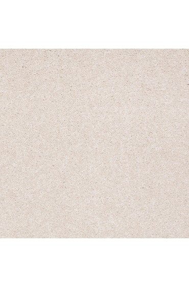 Carpet| STAINMASTER PetProtect Best Of Breed Classic Buff Textured Carpet (Indoor) - OS05635