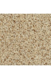 Carpet| STAINMASTER PetProtect Day Trip Serenity Shag/Frieze Carpet (Indoor) - XA75784