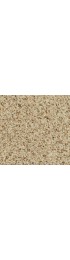 Carpet| STAINMASTER PetProtect Day Trip Serenity Shag/Frieze Carpet (Indoor) - XA75784