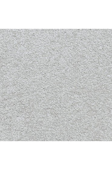 Carpet| STAINMASTER PetProtect Delta Queen Gallery Textured Carpet (Indoor) - DD52282