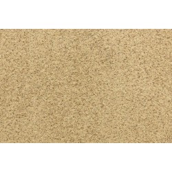 Carpet| STAINMASTER PetProtect Delta Queen Gateway Textured Carpet (Indoor) - FH50061