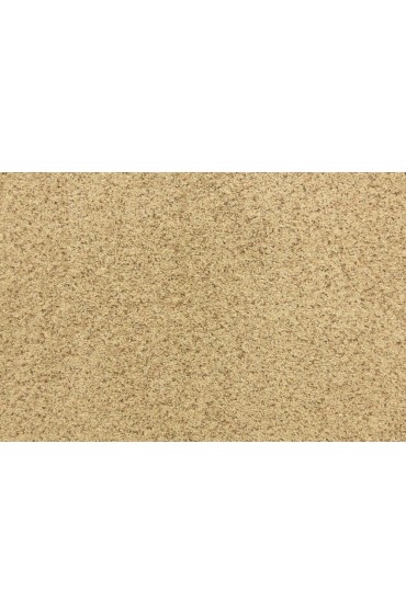 Carpet| STAINMASTER PetProtect Delta Queen Gateway Textured Carpet (Indoor) - FH50061
