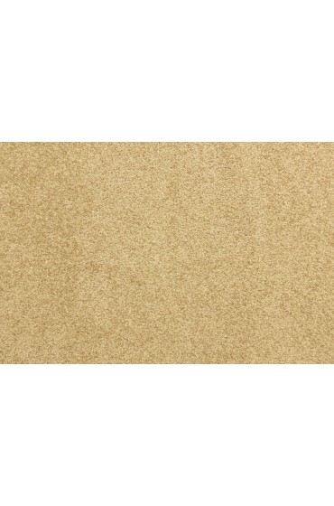 Carpet| STAINMASTER PetProtect Delta Queen Path Textured Carpet (Indoor) - AH72425