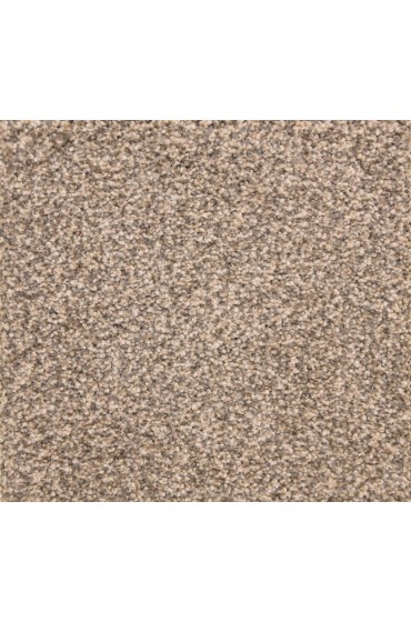 Carpet| STAINMASTER PetProtect Delta Queen Stoop Textured Carpet (Indoor) - DU42895