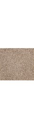 Carpet| STAINMASTER PetProtect Delta Queen Stoop Textured Carpet (Indoor) - DU42895