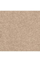 Carpet| STAINMASTER PetProtect Excursion Palm Bay Shag/Frieze Carpet (Indoor) - XI64758