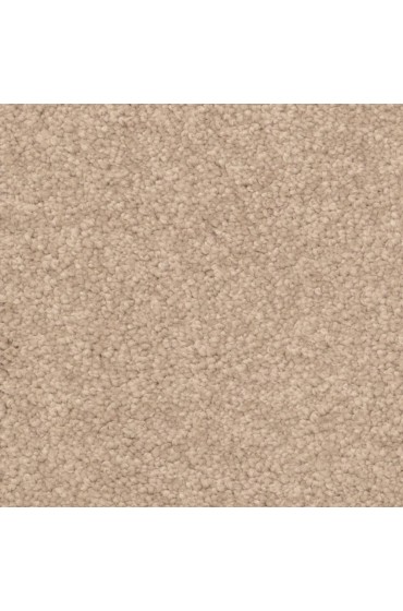 Carpet| STAINMASTER PetProtect Excursion Palm Bay Shag/Frieze Carpet (Indoor) - XI64758