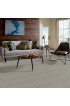 Carpet| STAINMASTER PetProtect Foundry II Mineral Textured Carpet (Indoor) - JB13342