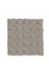 Carpet| STAINMASTER PetProtect Friends Furrever Ash Mist Pattern Carpet (Indoor) - VK90771