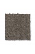 Carpet| STAINMASTER PetProtect Friends Furrever Potting Soil Pattern Carpet (Indoor) - TT58305