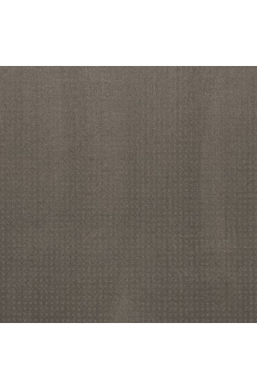 Carpet| STAINMASTER PetProtect Friends Furrever Potting Soil Pattern Carpet (Indoor) - TT58305