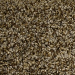 Carpet| STAINMASTER PetProtect Georgetown Top Elevation Textured Carpet (Indoor) - KP18105