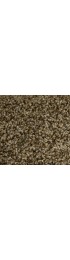 Carpet| STAINMASTER PetProtect Georgetown Top Elevation Textured Carpet (Indoor) - KP18105