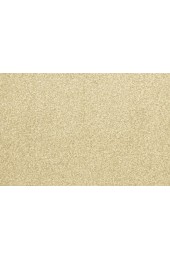 Carpet| STAINMASTER PetProtect Glen Cove Inlet Textured Carpet (Indoor) - KW65473