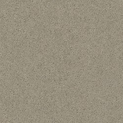 Carpet| STAINMASTER PetProtect Happy Tails Artisan Taupe Pattern Carpet (Indoor) - TE59471