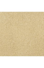 Carpet| STAINMASTER PetProtect Hypnotized Cream Shag/Frieze Carpet (Indoor) - TT96588