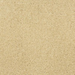 Carpet| STAINMASTER PetProtect Hypnotized Cream Shag/Frieze Carpet (Indoor) - TT96588