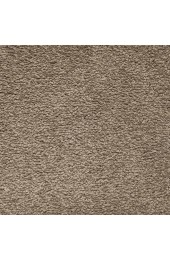 Carpet| STAINMASTER PetProtect Pawfection Feather Textured Carpet (Indoor) - OF35480