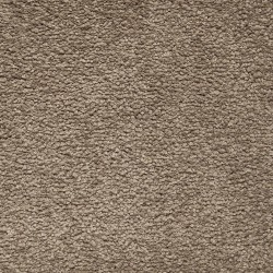 Carpet| STAINMASTER PetProtect Pawfection Feather Textured Carpet (Indoor) - OF35480