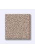 Carpet| STAINMASTER PetProtect Paws Down III Heirloom Textured Carpet (Indoor) - ND46056