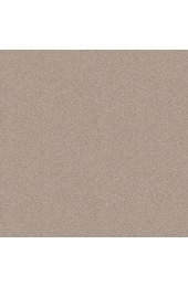 Carpet| STAINMASTER PetProtect Paws Down III Heirloom Textured Carpet (Indoor) - ND46056