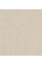 Carpet| STAINMASTER PetProtect Pawsh Party Canvas Pattern Carpet (Indoor) - LP64677