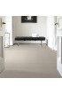 Carpet| STAINMASTER PetProtect Purebred- Canine Plush Carpet (Indoor) - TI29307