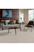 Carpet| STAINMASTER PetProtect Purebred- Canine Plush Carpet (Indoor) - TI29307