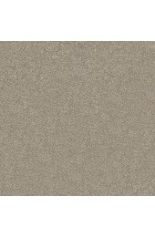 Carpet| STAINMASTER PetProtect Ready 2 Play Bentley Textured Carpet (Indoor) - SX74711