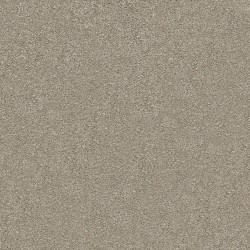 Carpet| STAINMASTER PetProtect Ready 2 Play Bentley Textured Carpet (Indoor) - SX74711