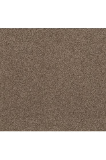 Carpet| STAINMASTER PetProtect Ready 2 Play Schnauzer Textured Carpet (Indoor) - ZY47007