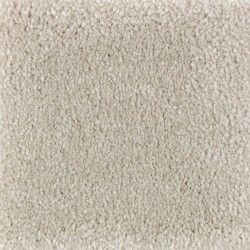 Carpet| STAINMASTER PetProtect Right Meow I Swan Song Textured Carpet (Indoor) - TB71075