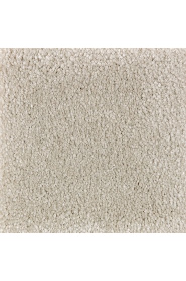 Carpet| STAINMASTER PetProtect Right Meow I Swan Song Textured Carpet (Indoor) - TB71075