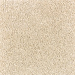 Carpet| STAINMASTER PetProtect Right Meow II Illuminating Textured Carpet (Indoor) - WF51650
