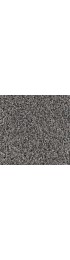 Carpet| STAINMASTER PetProtect Shimmer Splendor Textured Carpet (Indoor) - ZZ08080
