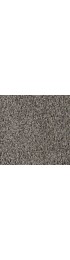 Carpet| STAINMASTER PetProtect Sparkle Flare Textured Carpet (Indoor) - FW31627