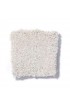 Carpet| STAINMASTER PetProtect Sweet Spot II 12-Ft Romano Textured Carpet (Indoor) - JE11175