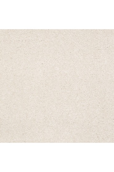 Carpet| STAINMASTER PetProtect Sweet Spot II 12-Ft Romano Textured Carpet (Indoor) - JE11175