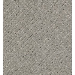 Carpet| STAINMASTER PetProtect Unconditional Smoke Embers Pattern Carpet (Indoor) - SV14814