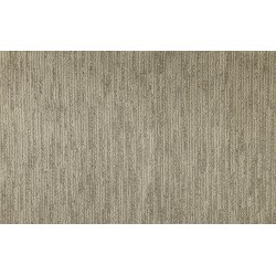 Carpet| STAINMASTER PetProtect Waterford Way Cobblestone Pattern Carpet (Indoor) - DI03988