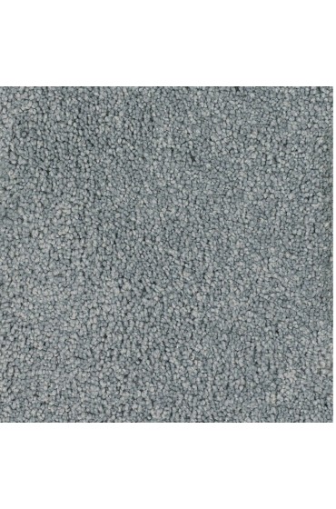 Carpet| STAINMASTER Pomadour Forbidden Textured Carpet (Indoor) - KB75634