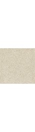 Carpet| STAINMASTER Pomadour Saltbox Textured Carpet (Indoor) - GY36320