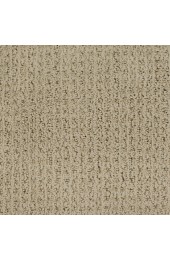 Carpet| STAINMASTER Salena Interact Pattern Carpet (Indoor) - AJ13819