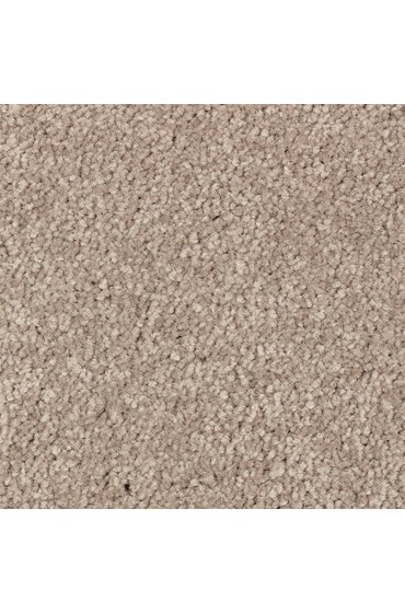 Carpet| STAINMASTER Serenity Stride III Acorn Textured Carpet (Indoor) - DN94344