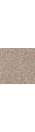 Carpet| STAINMASTER Serenity Stride III Acorn Textured Carpet (Indoor) - DN94344